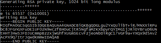 openssl cli output